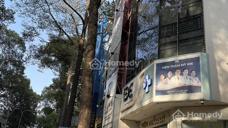 Toà nhà cao tầng mtkd 3 tháng 2, phường 11 quận 10, dòng tiền, 10,000usd/tháng - Ảnh 4