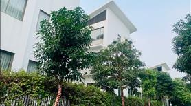 Cần bán gấp căn góc Biệt thự Đơn lập Khai Sơn Hill Long Biên, sẵn sổ đỏ sang tên 338m2 - Ảnh 14
