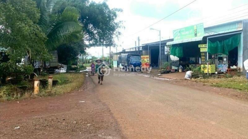 Chính chủ cần bán 2 sổ liền kề 800m2 có sẵn 200thổ cư ở Bù Đăng, Bình Phước - Ảnh 4