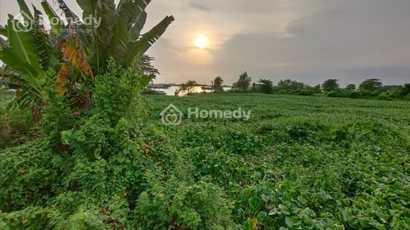 Cần cho thuê 87000m2 đất nuôi trồng thuỷ sản tại Bình Tân Vĩnh Long - Ảnh 1