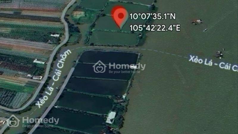 Cần cho thuê 87000m2 đất nuôi trồng thuỷ sản tại Bình Tân Vĩnh Long - Ảnh 6
