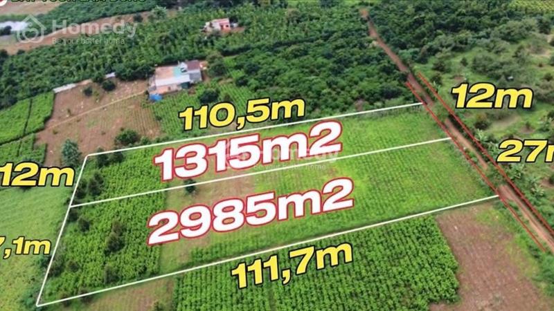 Chủ gửi bán lô đất vườn thổ cư , đường oto , sẵn sổ giá tốt ạ - Ảnh 1