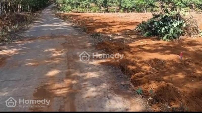 Chính Chủ Cần Bán Gấp 2 Lô Đất Liền Kề Hơn 2000m2 - Giá Chỉ 290 Triệu - Ảnh 3