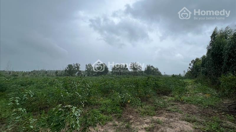 140 triệu/ sào, cách nhựa Tây Sơn 100M, cách hồ Núi Đất 1km, đường vào 6m. TX LaGi. - Ảnh 3