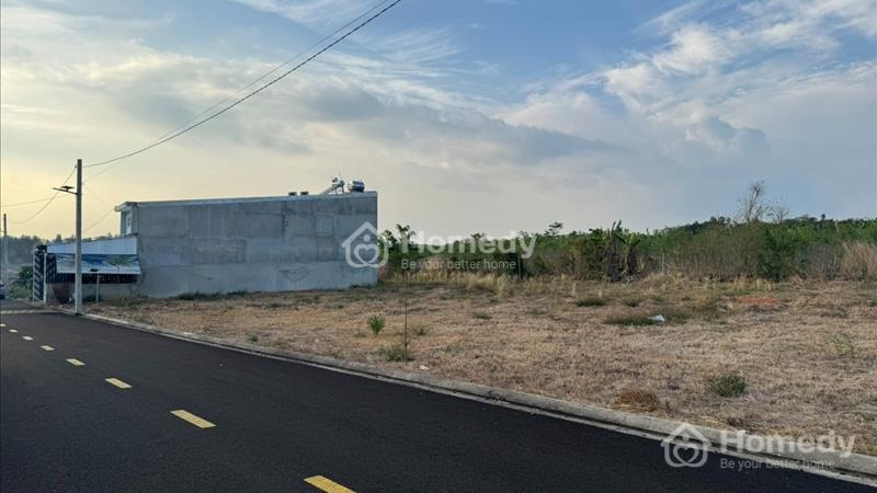 Bán Đất Gấp - Giá Cực Thấp - Hưng Lộc - Thống Nhất - Ảnh 6