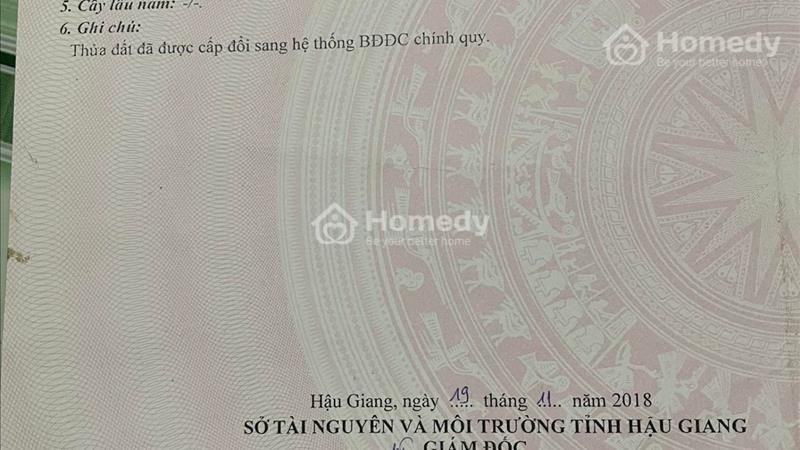 Chính Chủ Cần Bán Gấp Lô Đất Đẹp - Giá Tốt 1131m2 Nhơn Nghĩa A, Hậu Giang - Ảnh 3