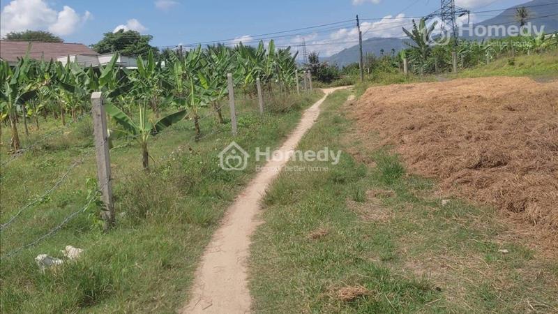 Chính Chủ Cần Bán Rẻ Lô Đất tại Thôn Quang Thạnh , Diên Hòa , Giá Tốt - Ảnh 1