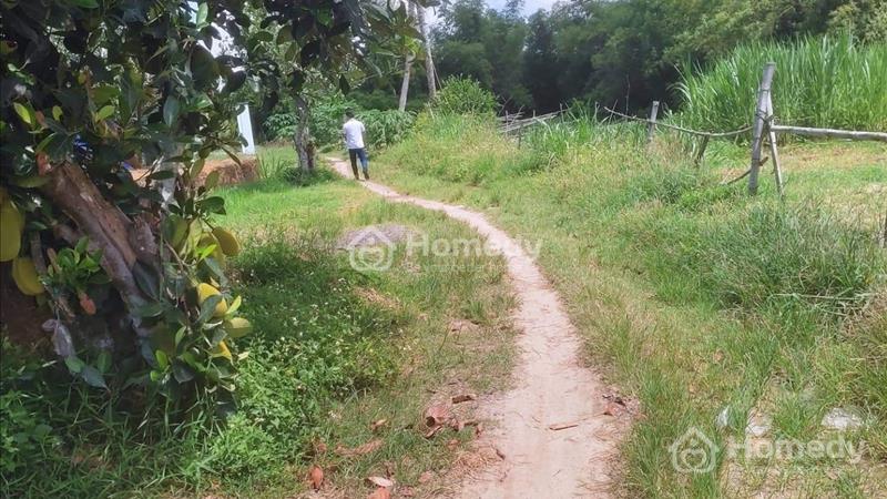 Chính Chủ Cần Bán Rẻ Lô Đất tại Thôn Quang Thạnh , Diên Hòa , Giá Tốt - Ảnh 2