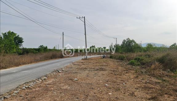 Bán đất 1000 m2 MT đường nhựa Cọ Dầu Xã Xuân Thành Huyện Xuân Lộc - Ảnh 1