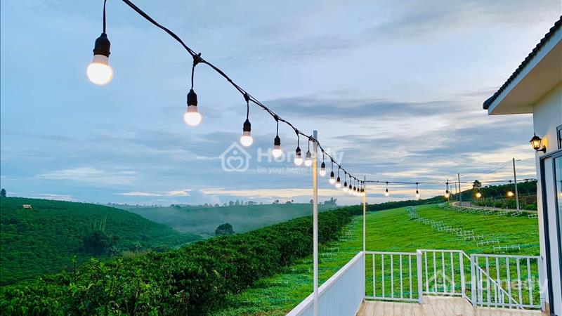 Sốc! Giá chỉ 3,5 triệu/m2, diện tích 150-200m2 đất thổ cư tại Bảo Lộc, Lâm Đồng - Ảnh 1