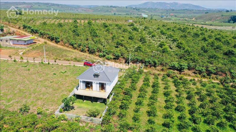 Sốc! Giá chỉ 3,5 triệu/m2, diện tích 150-200m2 đất thổ cư tại Bảo Lộc, Lâm Đồng - Ảnh 3