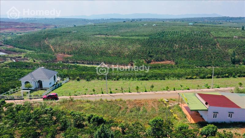 Sốc! Giá chỉ 3,5 triệu/m2, diện tích 150-200m2 đất thổ cư tại Bảo Lộc, Lâm Đồng - Ảnh 2