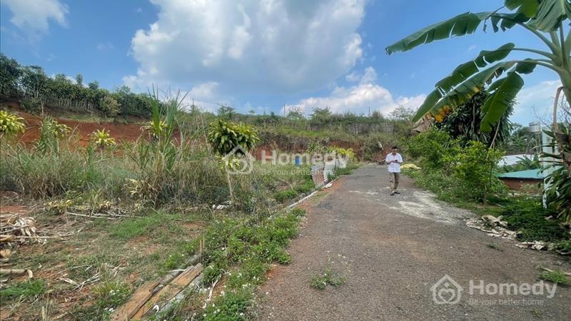 Cần bán đất nghỉ dưỡng 2,400m2 hẻm Phan Đình Phùng, phường 2, TP Bảo Lộc - Ảnh 3