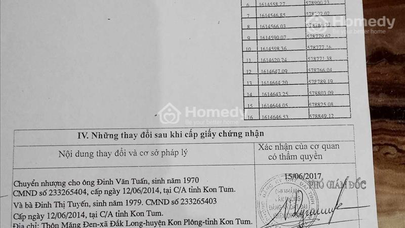 Bán đất tặng nhà gỗ 100m2 tại TT.Măng Đen, Konplong,  KonTum - Ảnh 1