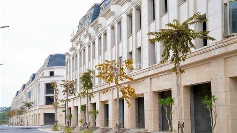 Bán villa full nội thất sang trọng chuẩn quốc tế bên biển Bảo Ninh Quảng Bình, giá nét chưa từng có - Ảnh 4