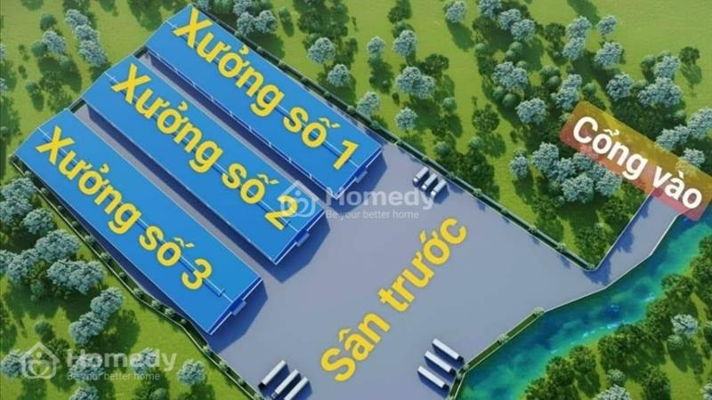 Chủ trương cho thuê xưởng sản xuất hoặc bán - Ảnh 2