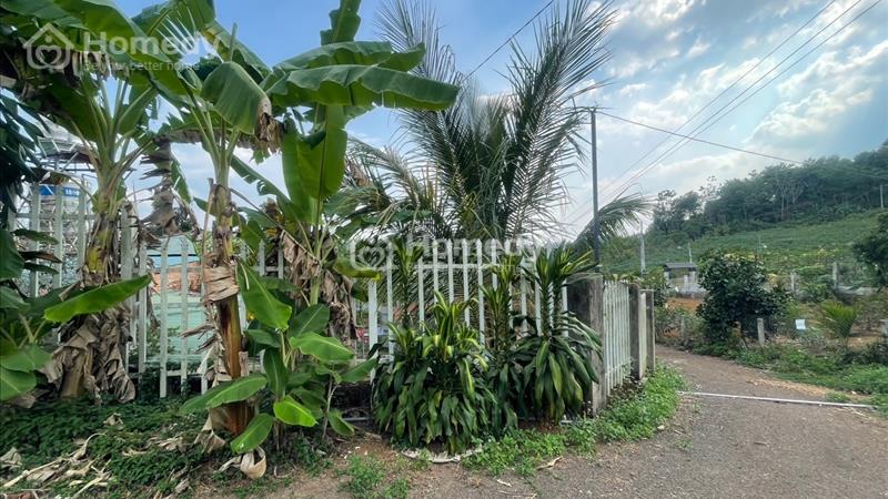 Cần bán đất nghỉ dưỡng 2,400m2 hẻm Phan Đình Phùng, phường 2, TP Bảo Lộc - Ảnh 2