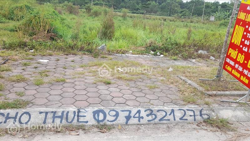 Cho thuê đất dịch vụ Sa Lao, phường Đồng Văn, TT Duy Tiên, Hà Nam - Ảnh 2