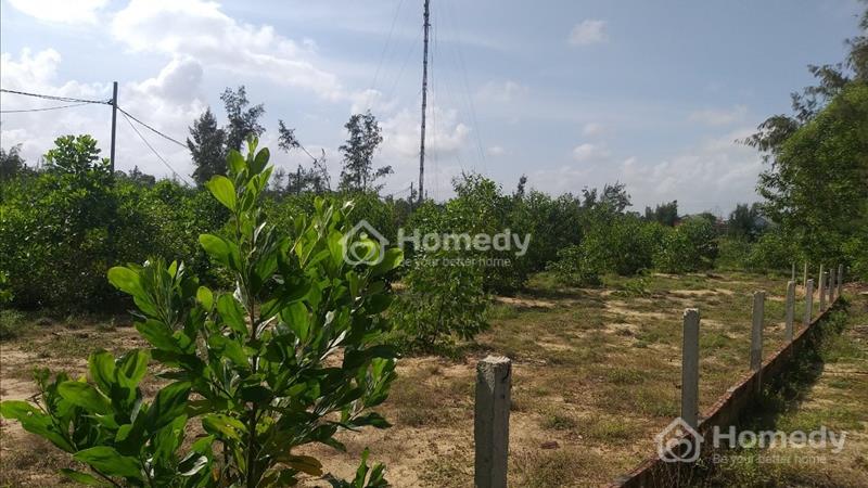 Đất chính chủ cần bán gấp. Với diện tích 11382,1m² - Ảnh 1