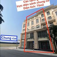 Bán liền kề TĐ1 60m gần chung cư cao cấp, gần đường chính, kd tốt Vinhomes OCP3 giá 7,5 tỷ