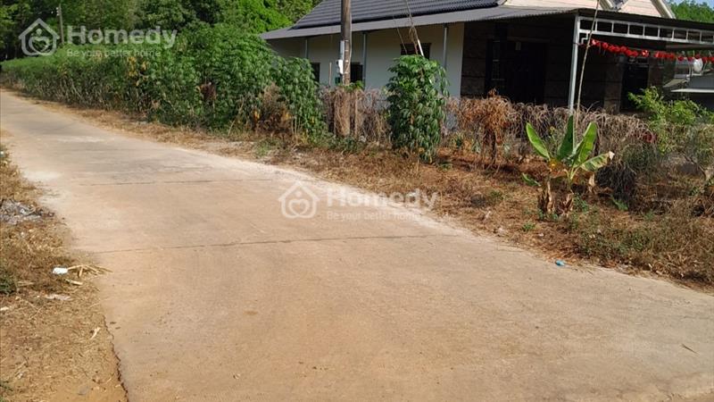 Chính Chủ Cần Bán Nhanh Lô Đất Vị Trí Đẹp Giá Rẻ Nhất Khu Vực Phước Sơn, Bù Đăng - Ảnh 2