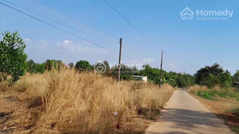 Chính Chủ Cần Bán Nhanh Lô Đất Vị Trí Đẹp Giá Rẻ Nhất Khu Vực Phước Sơn, Bù Đăng - Ảnh 3