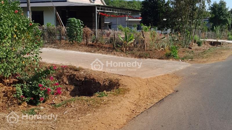 Chính Chủ Cần Bán Nhanh Lô Đất Vị Trí Đẹp Giá Rẻ Nhất Khu Vực Phước Sơn, Bù Đăng - Ảnh 4
