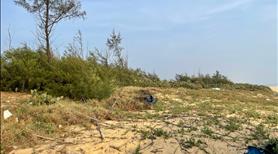 Chúng tôi cần bán hơn 4.000m2 tại thôn Phương Tân ,xã Bình Nam,huyện Thăng Bình,Tỉnh Quảng Nam - Ảnh 3