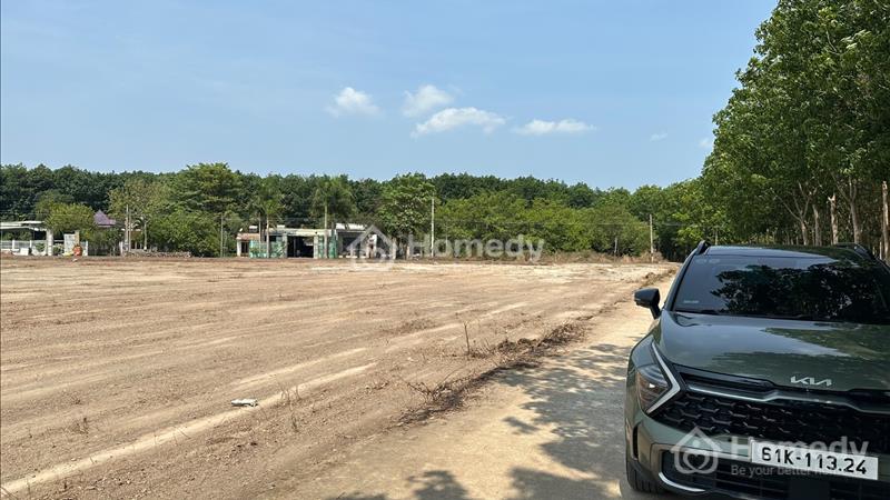 Cần bán đất gấp ngay KCN Đồng Xoài 1,2 giá rẻ bằng ½ giá thị trường  - Ảnh 2