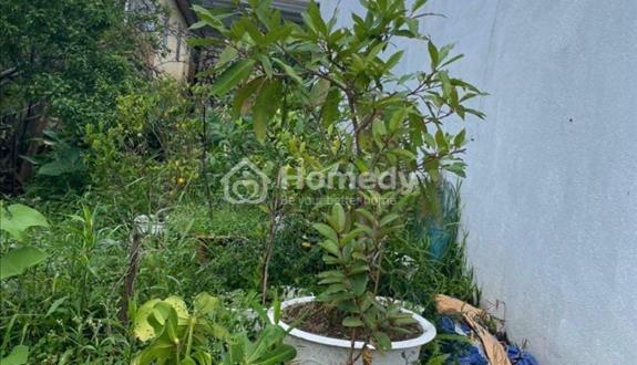 Cần bán nhanh lô đất hẻm ô tô Nguyễn Đình Chiểu- phường 9- Đà Lạt - Ảnh 1