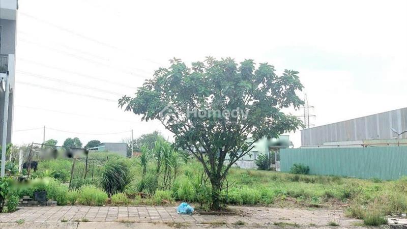 Cần bán gấp nền đất 150 m2, mặt tiền 10m, hướng Bắc tại TP Hồ Chí Minh, giá 5.7 tỷ - Ảnh 2