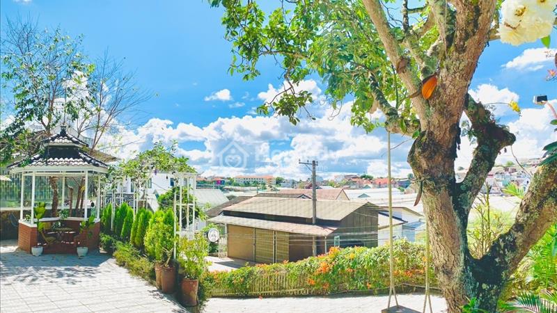 Sở hữu nhanh tay căn Biệt Thự sân vườn 990m giá chỉ 25ty tại Tô Hiệu - Đà Lạt  - Ảnh 2