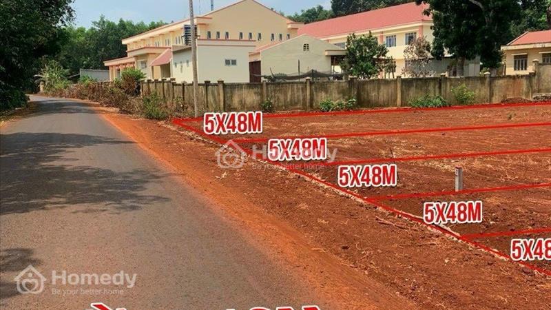 Đất thổ cư ngay Ủy Ban Nhân Dân - Dự án The Calista Lộc An - Ảnh 1