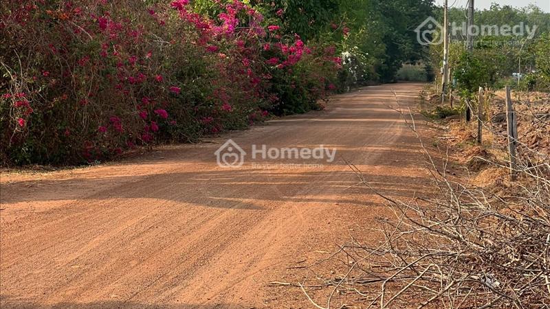 Bán đất An Phú, Hớn Quảng sẵn 100m thổ cư, tương lai đường lên nhựa, giá chỉ 280tr, lh 0972223553 - Ảnh 1