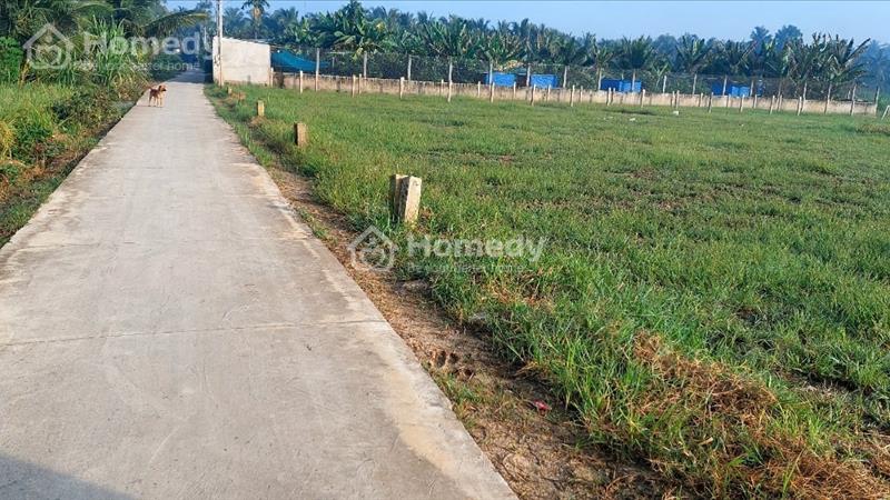 Cần ra nhanh 3 nền đất Thổ Cư tại Gò Công Tây, Tiền Giang, Giá đầu tư - Ảnh 4