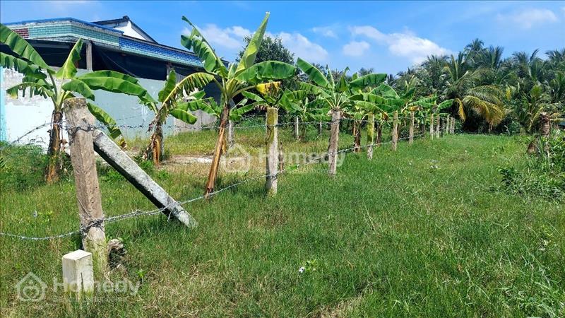 Cần ra nhanh 3 nền đất Thổ Cư tại Gò Công Tây, Tiền Giang, Giá đầu tư - Ảnh 6
