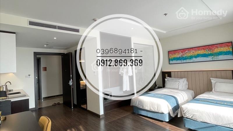 Chỉ 1,6xx tỷ sở hữu vĩnh viễn căn hộ mặt biển The Sapphire S2 Hạ Long - Ảnh 9