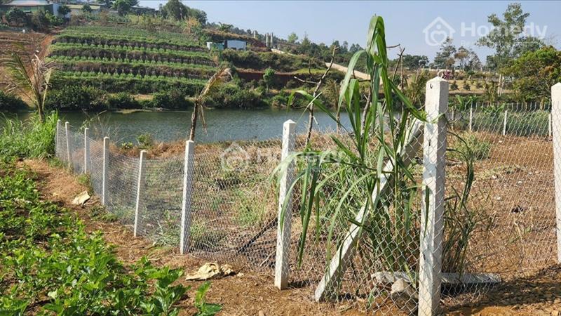 Bán đất sát Hồ Ông Dụ hẻm Tôn Thất Thuyết - Đambri - Tp Bảo Lộc giá 2 tỷ - Ảnh 1