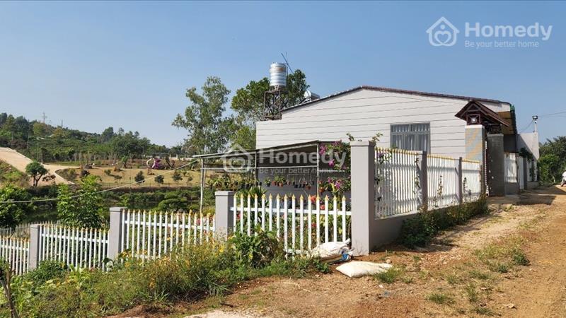 Bán đất sát Hồ Ông Dụ hẻm Tôn Thất Thuyết - Đambri - Tp Bảo Lộc giá 2 tỷ - Ảnh 3