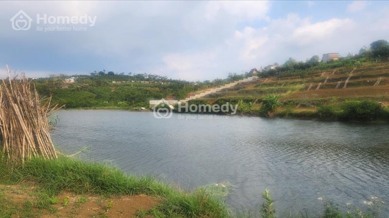 Bán đất sát Hồ Ông Dụ hẻm Tôn Thất Thuyết - Đambri - Tp Bảo Lộc giá 2 tỷ - Ảnh 2