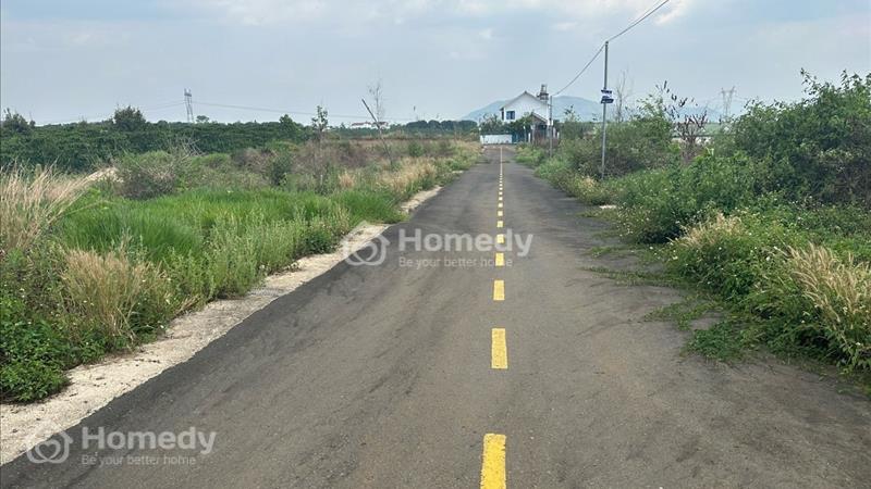 134 Phùng Hưng - Lộc Tiến - Tp. Bảo Lộc sẵn thổ cư ngộp ngân hàng. - Ảnh 3