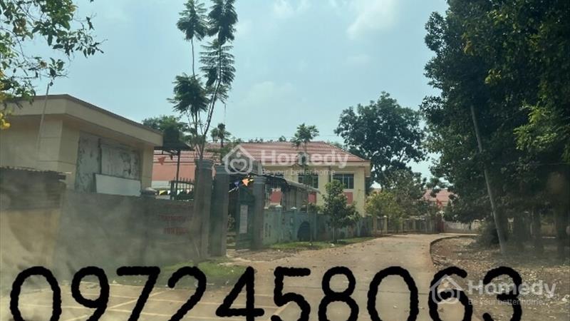 Đất sổ đỏ thổ cư, cạnh bên trường học, trung tâm, trạm y tế. - Ảnh 2