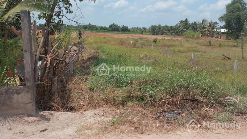Đất lập nhà vườn có thổ, xây nhà được liền cách sài gòn 1 tiếng đi xe - Ảnh 2