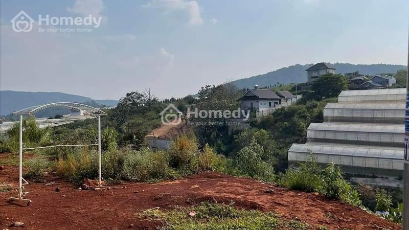 [ Tin Hot ] Giảm giá Bán gấp Đất Biệt Thự đẹp tại Măng Ling, Đà Lạt 215m2 giá chỉ 4.2 tỷ - Ảnh 1