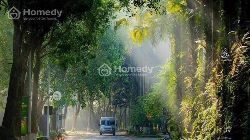 Chính thức mở bán chung cư cao cấp The Fibonan Ecopark, chiết khấu TTS 9%, HTLS 0% 24th - Ảnh 3
