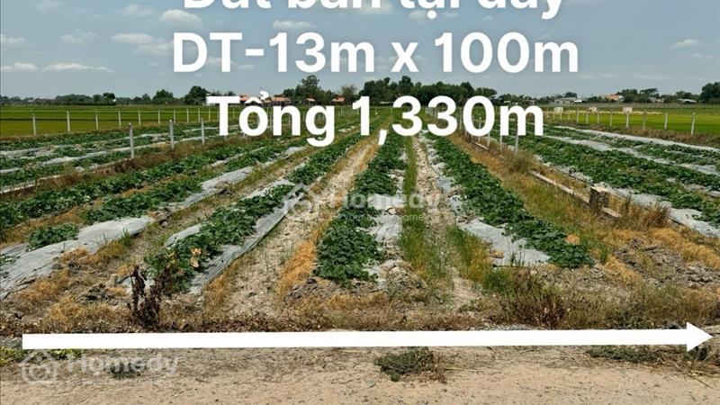 Sang nhượng gấp lô đất vườn 1330m2 , shr sang tên ngay xã Trung Lập Thượng - Ảnh 2