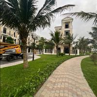 Bán BT song lập ĐD8 view sông, công viên xanh mát Vinhomes Ocean Park 2 giá 30 tỷ