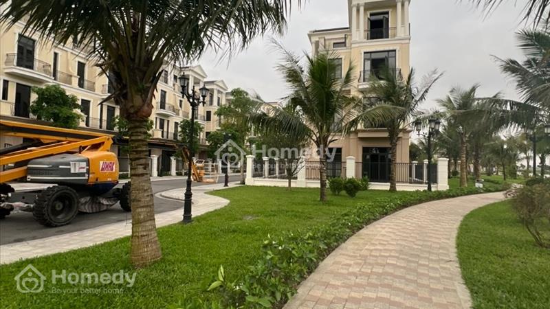 Bán BT song lập ĐD8 view sông, công viên xanh mát Vinhomes Ocean Park 2 giá 30 tỷ - Ảnh 1