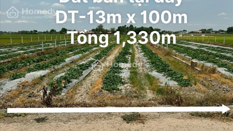 Sang nhượng gấp lô đất vườn 1330m2 , shr sang tên ngay xã Trung Lập Thượng  - Ảnh 2