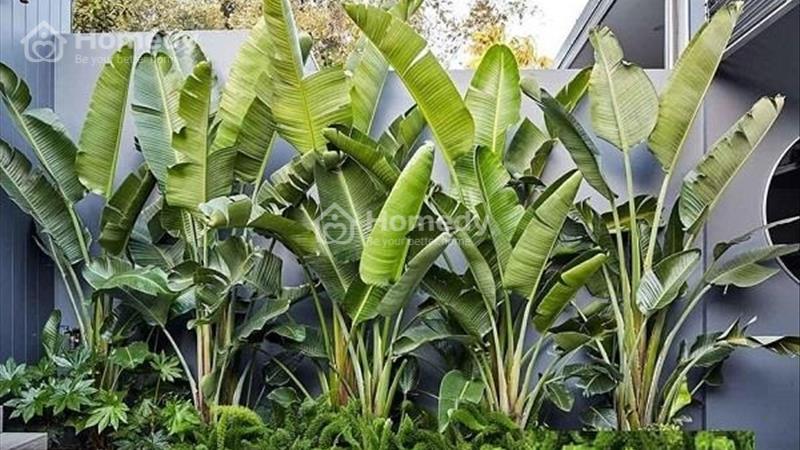 bán nhà 136 tây sơn. thiết kế đẹp- ở ngay . 41m2 mặt tiền 4.2m 6.5 tỷ - Ảnh 2